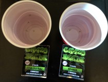 C9B566B3-FAA1-4DD4-BA4A-F1F8F82CDE87