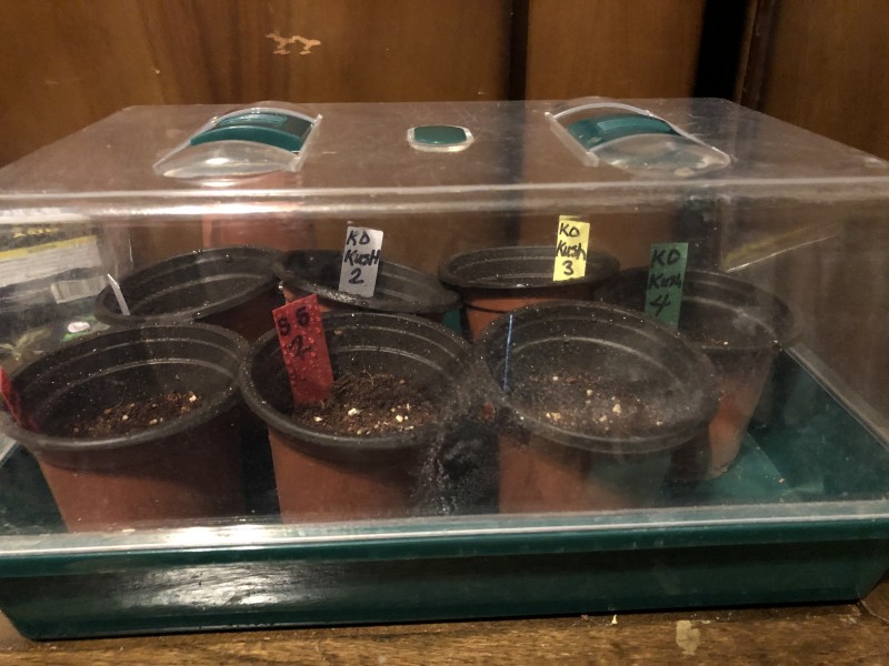 517543A4-2B61-4F38-AC3C-656537E9E48E