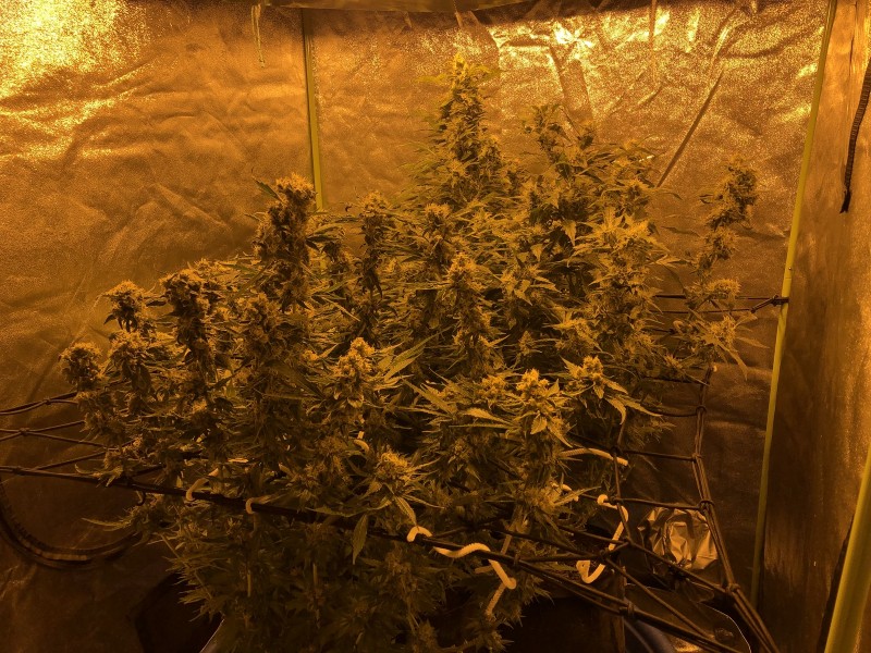 613A308D-2246-40FF-8E41-93904700485D