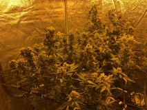 4B7F98DC-EA14-4DA1-8A6A-5C057CAF83F2