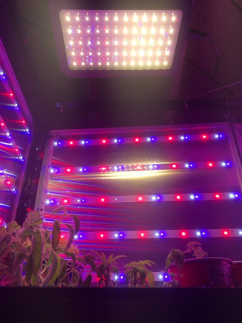 D45666EE-5B2B-4894-8F62-97BB6CC4ABF8