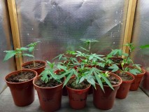 IMG_20200320_234349587_HDR