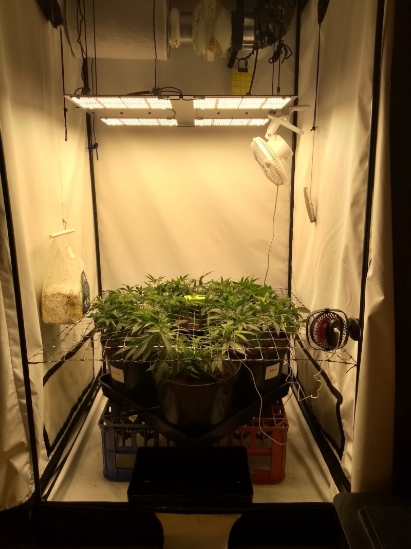 IMG_20200429_200248440_HDR