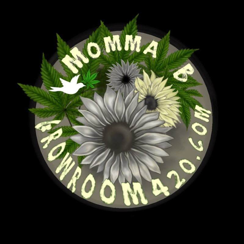 EDADA1B1-C886-41E9-8327-65CB629C479D