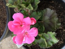 96954C97-BE75-42D6-8152-7B14E48DB1BD