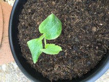 70B13772-8A0F-4332-A8ED-16EFF5123EDA