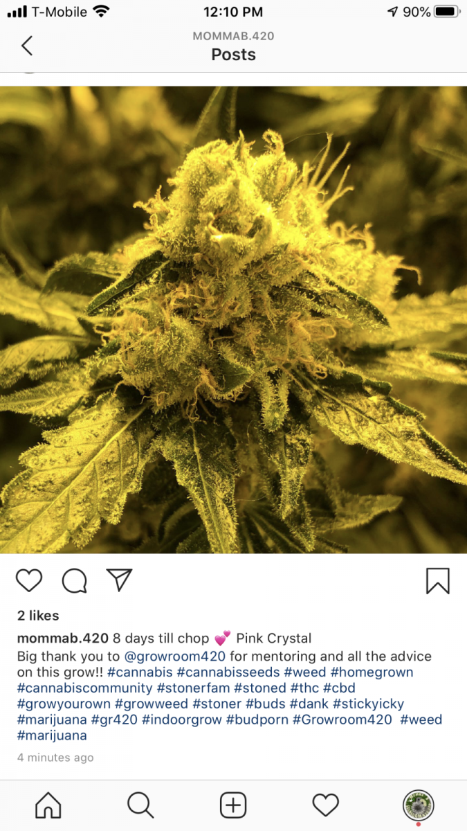 733D4A10-75D9-4ABC-AC5A-98EEE35E5B13