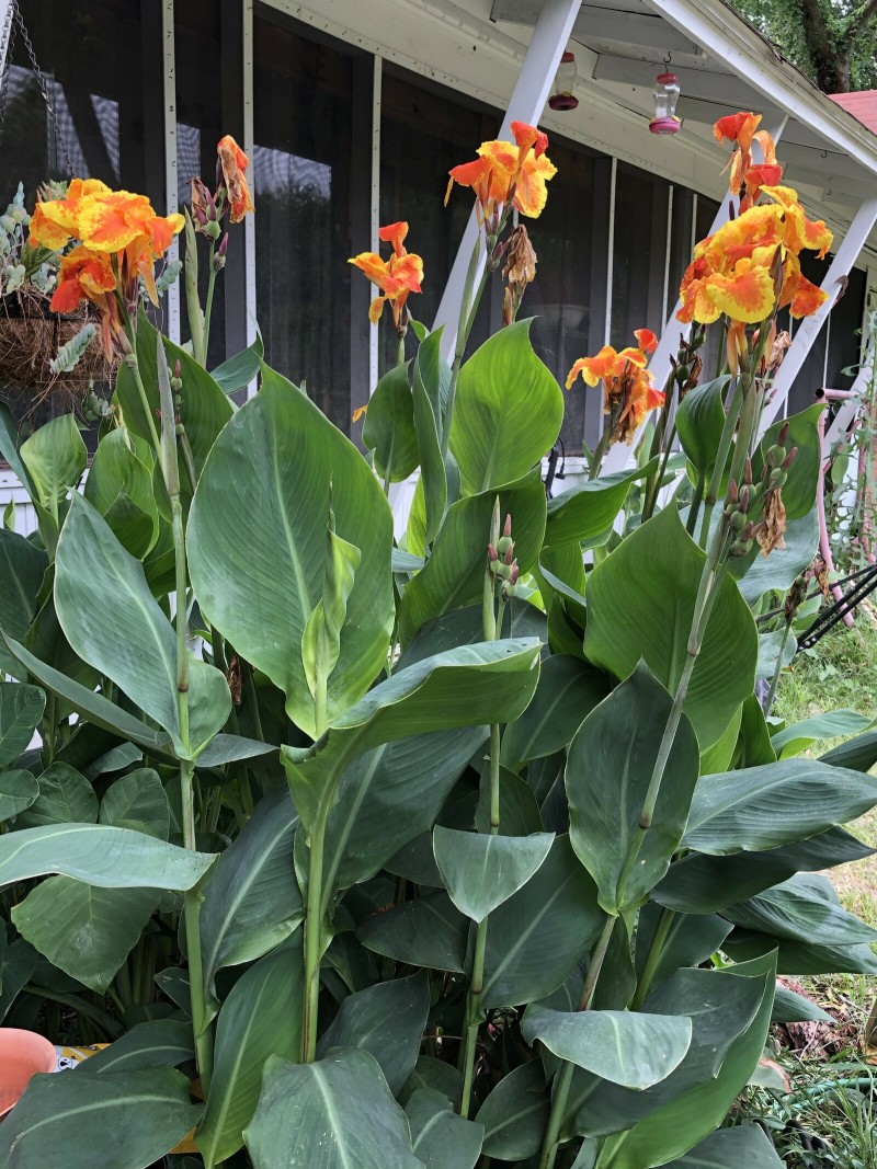 547A5FEF-5E24-4C98-BAF2-922DBEFC39F8