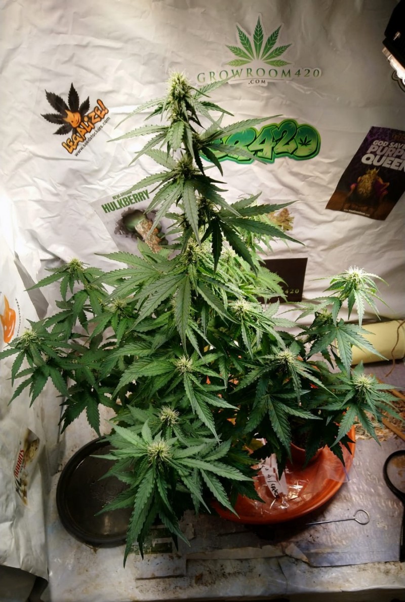 E98D9A71-B25B-460E-B12D-49AB4EA2CC8F