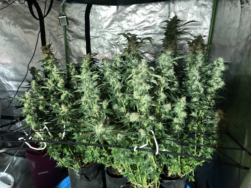 8F5BBBC0-B171-4FE1-9E2A-D5D744853BF4