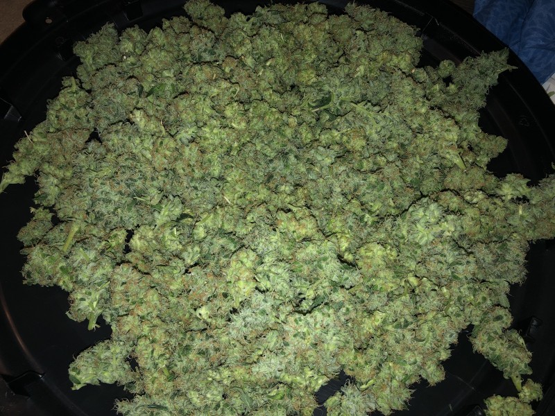 8C2FFECD-EA60-4B52-A102-3D84978D8641