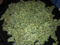 8C2FFECD-EA60-4B52-A102-3D84978D8641