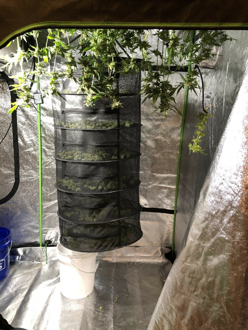 B0B9B275-317C-4244-B108-F64FC1C73EB9