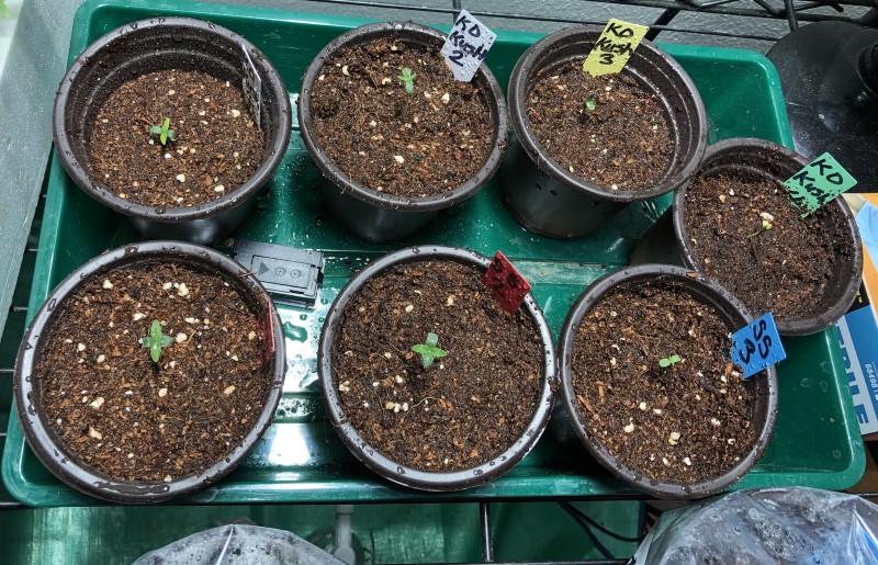 393A63E6-8032-4B48-833D-907B2561CAA3