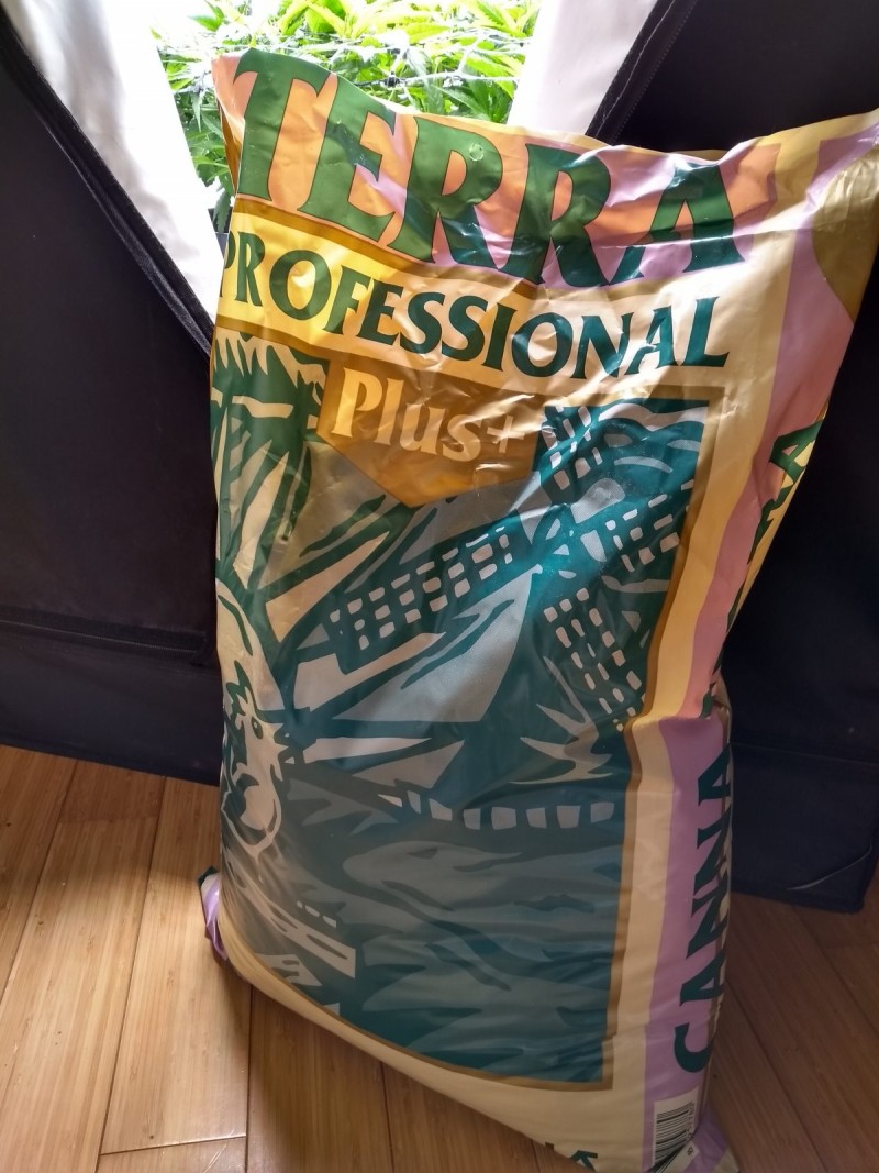 IMG_20200506_183851862_HDR