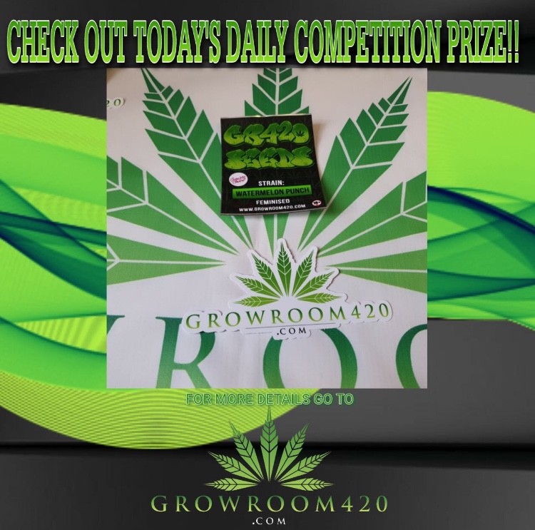 863E2EFF-8822-422B-9386-FF4E3745FF23