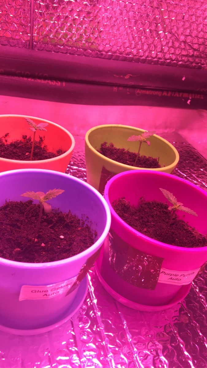 1CB42D3D-9A67-434D-959E-EC5727AC5FEE