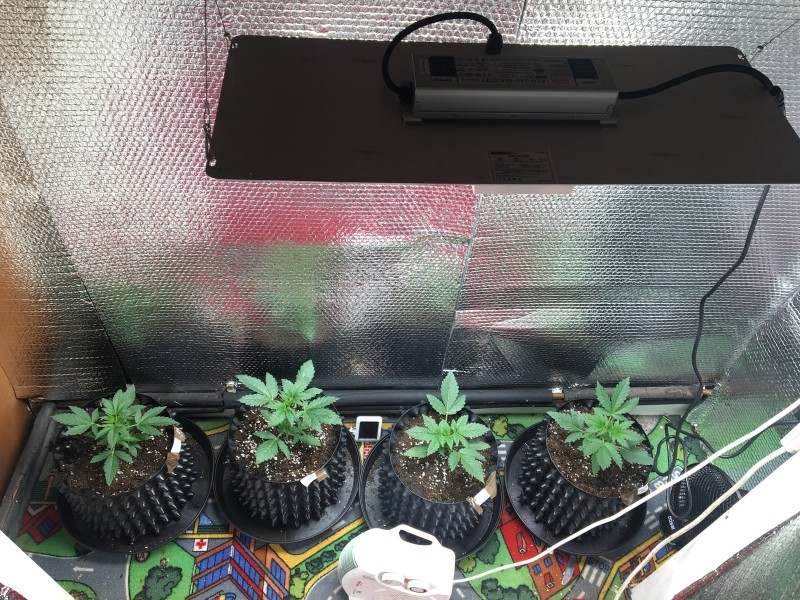 8445F9A0-3C05-4B38-BA72-58EC9CDE3358