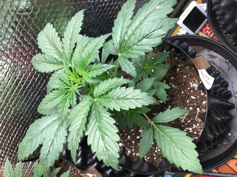 6FD88816-CC1D-4516-A737-7EACB696340E