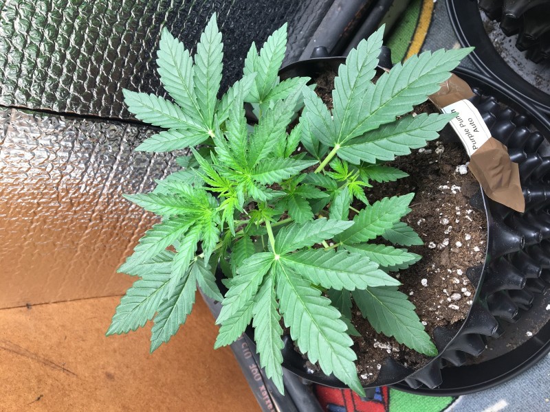 982CCF1A-E133-4219-A820-7C1C5669FBC1