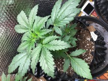 8D8C500F-2F53-4170-8A5C-47F3A76CDDBA