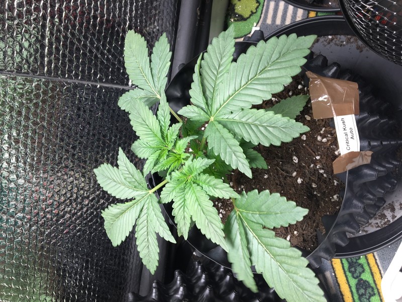 71F4060E-7E2E-42F7-91EA-1B733CD2F647