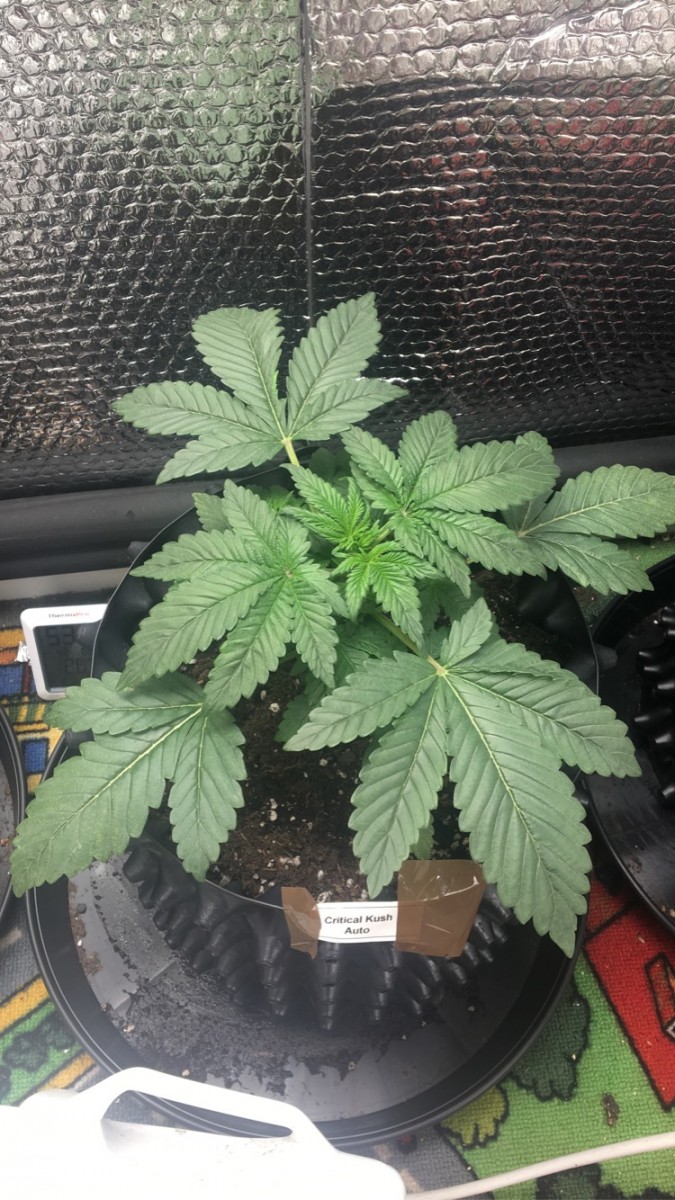 E15B88FD-B5B9-433A-8D9C-D2BFAE64F0A7