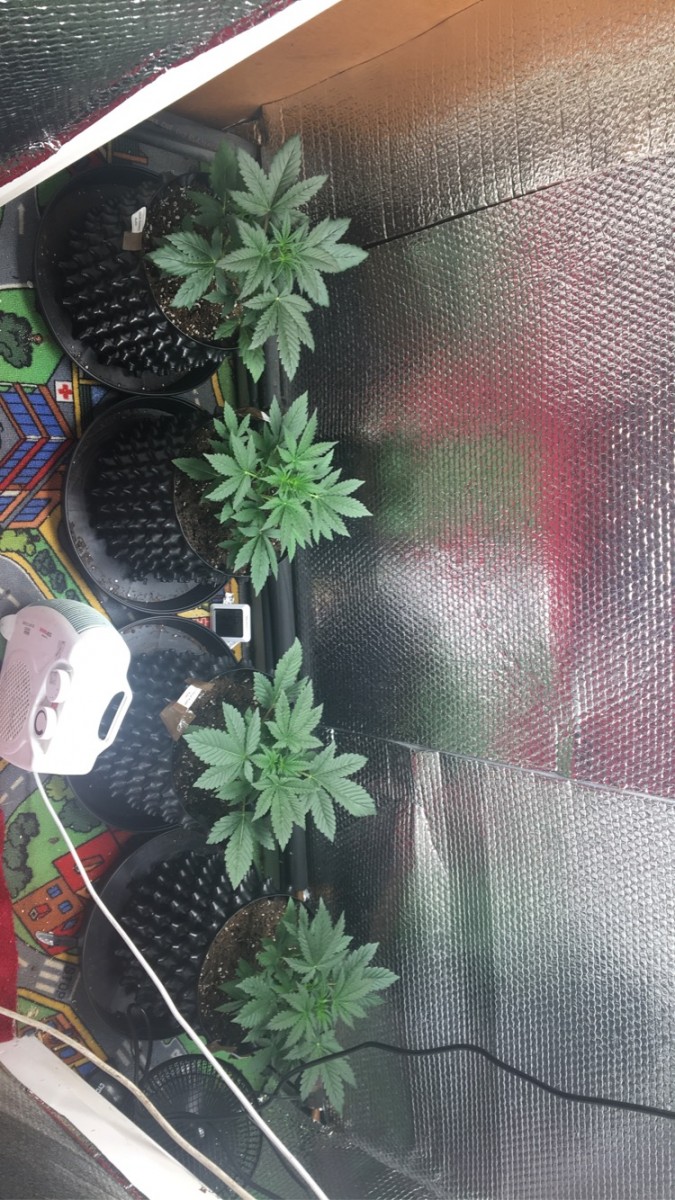 F7FD4331-B938-451A-A3C7-E171717A43F7