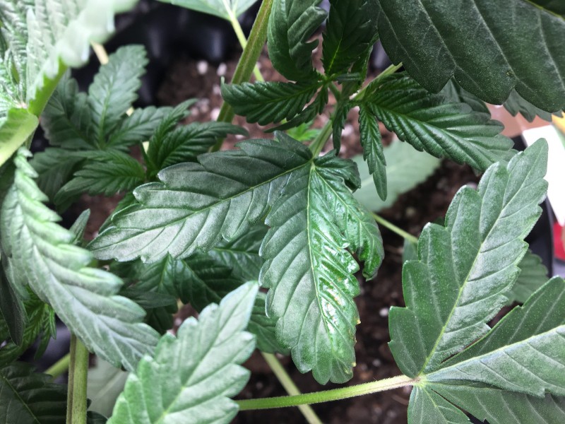 4DD4BE0B-C8EA-40EF-B566-0A998FE127F5