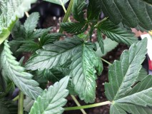 4DD4BE0B-C8EA-40EF-B566-0A998FE127F5