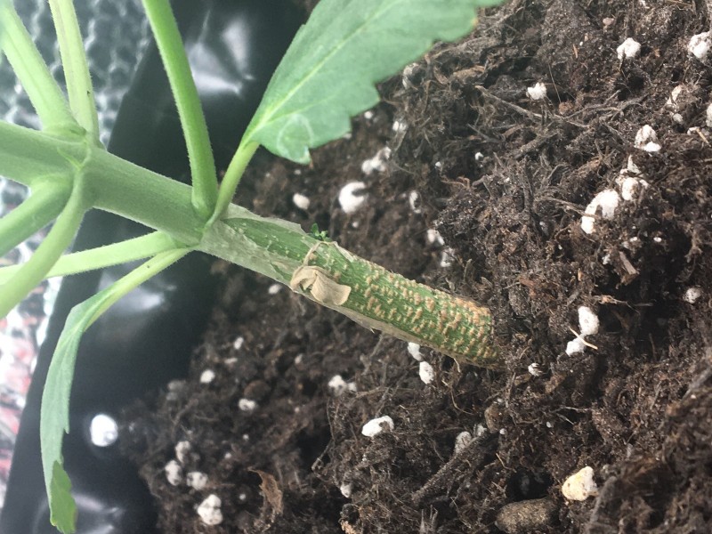 78F3A4DD-B6C0-419B-957E-92D011E23AC2