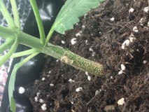 78F3A4DD-B6C0-419B-957E-92D011E23AC2