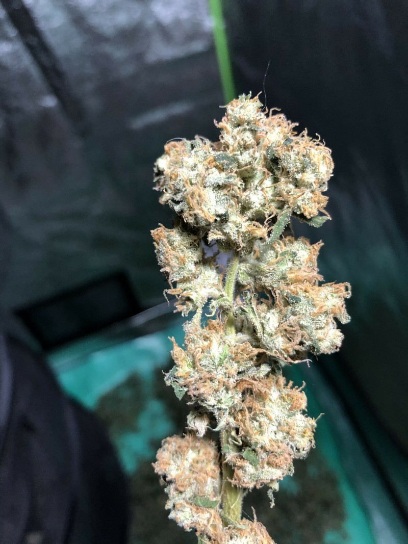 AE87B696-0A00-4F97-BF8A-878D31FA6BAB