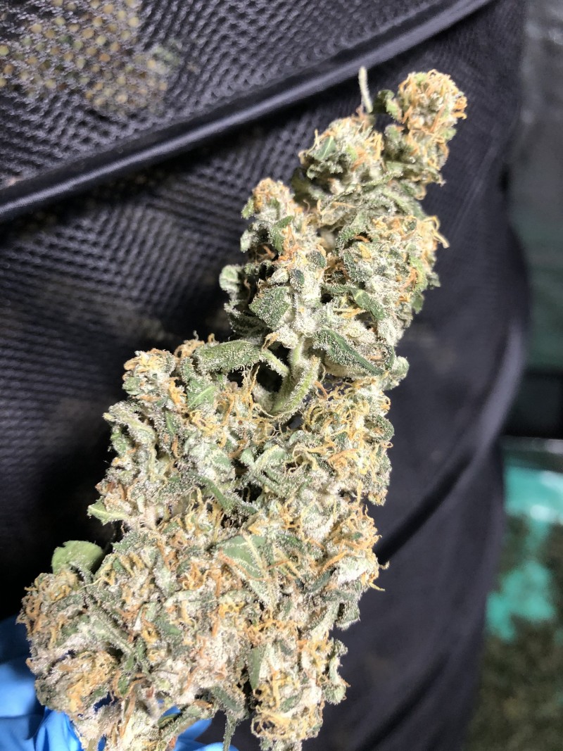 015C3CA9-4B95-4672-A438-A46F7935E441