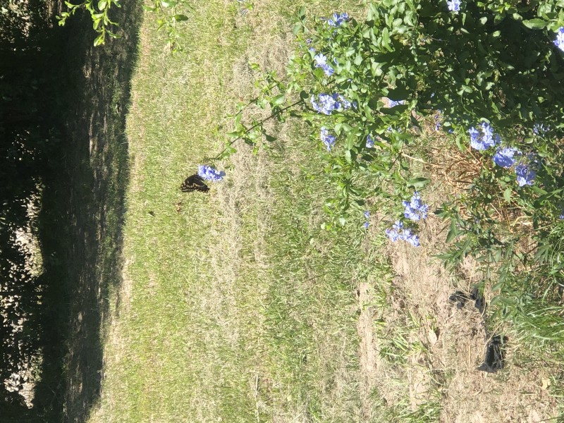 D1DF73C5-AD66-4598-94D9-46D360F7CAFC