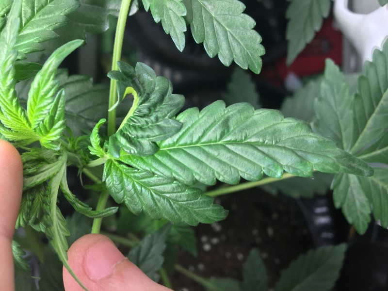 68511C6B-7613-4887-A6D4-E9EE69E3662B