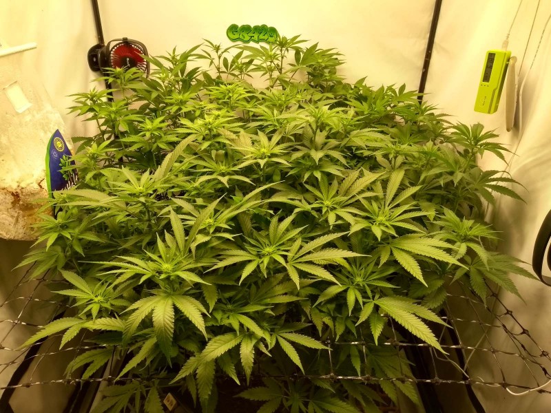 IMG_20200518_153352933_HDR