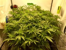 IMG_20200518_153352933_HDR