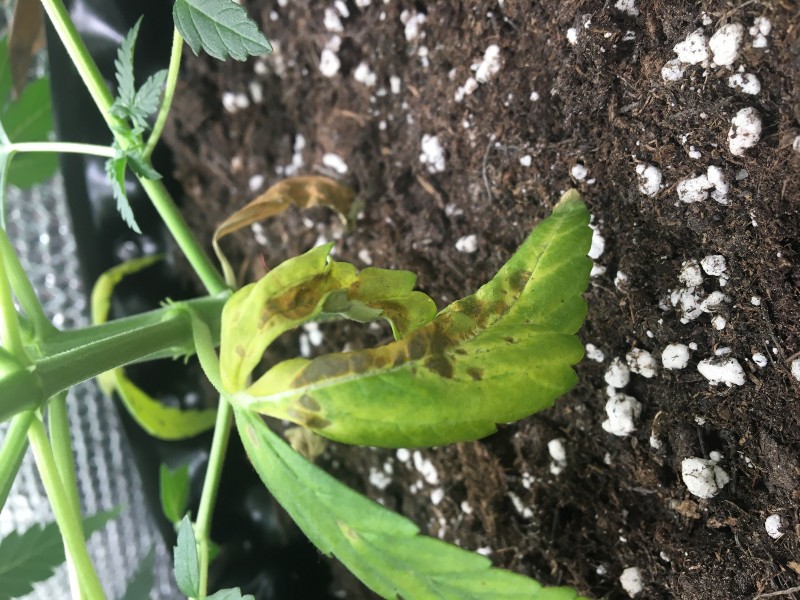 429D328B-5A4D-45DF-9C7C-F5C5CDF9834F