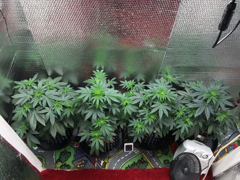 8F90077D-46D0-441C-8DB5-78794FCD18BB