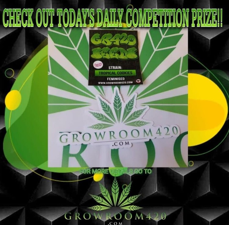 FBB430E4-7346-41E2-B93F-E267F36C9853