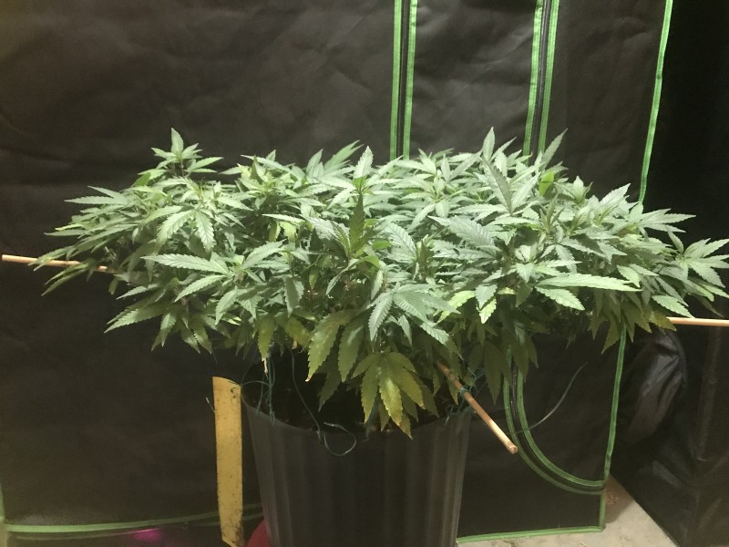 A5CB7916-CBB5-40C1-A3DA-F911EF5AA6D0