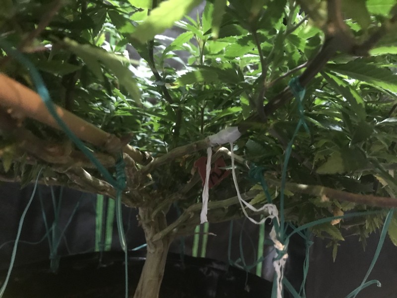 BB7793DD-FE4C-4B35-8495-5DE31BF4237C