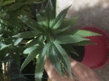 C9ECB4FB-AE61-4E62-9204-400EEE277251