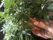 466E28D0-BCB0-43F0-A09F-175716AFE6F3