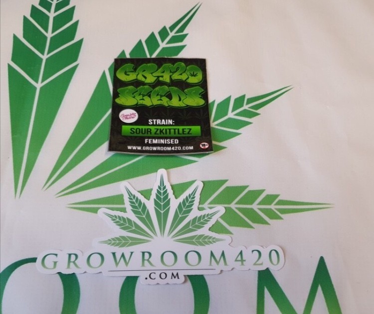 6F132A80-AA85-4D39-82D0-58E0CD057B5D