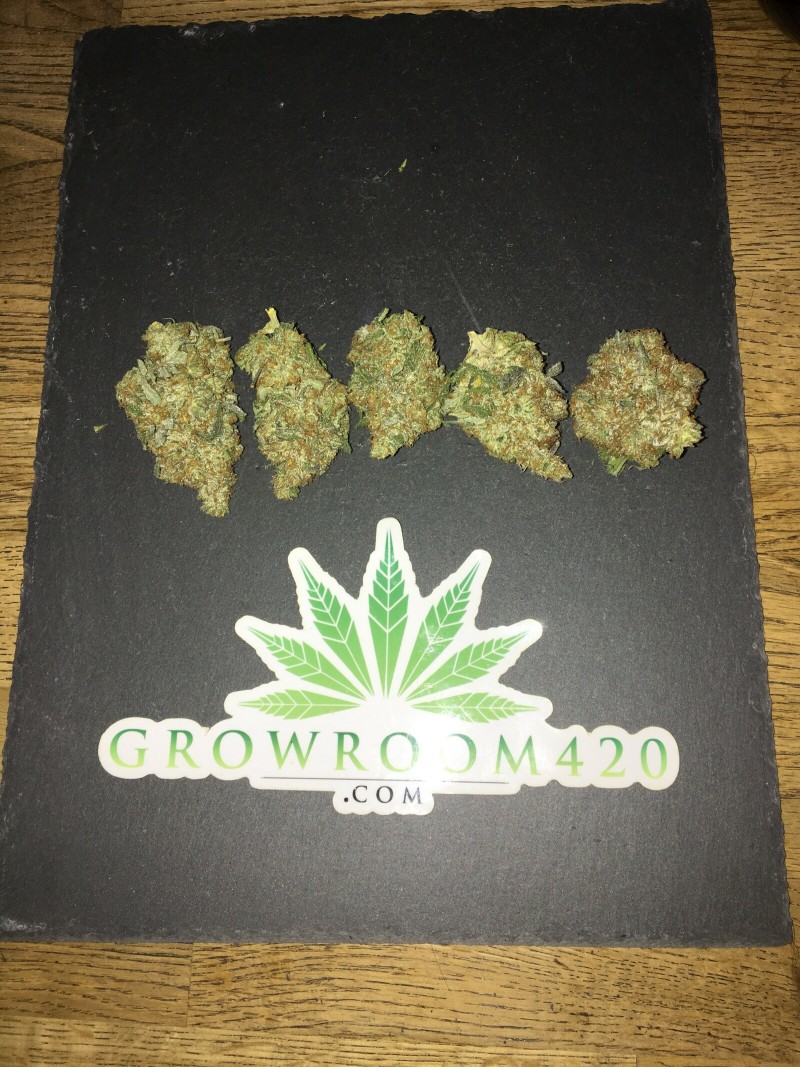 3E3D686D-53A7-45BF-B312-354D9EEED8A3