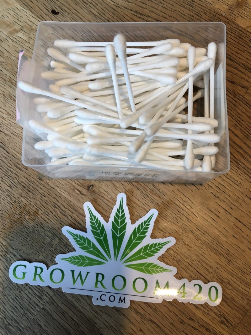 45C32B90-B7AC-4E13-A6B1-6F14F8BAC5EF