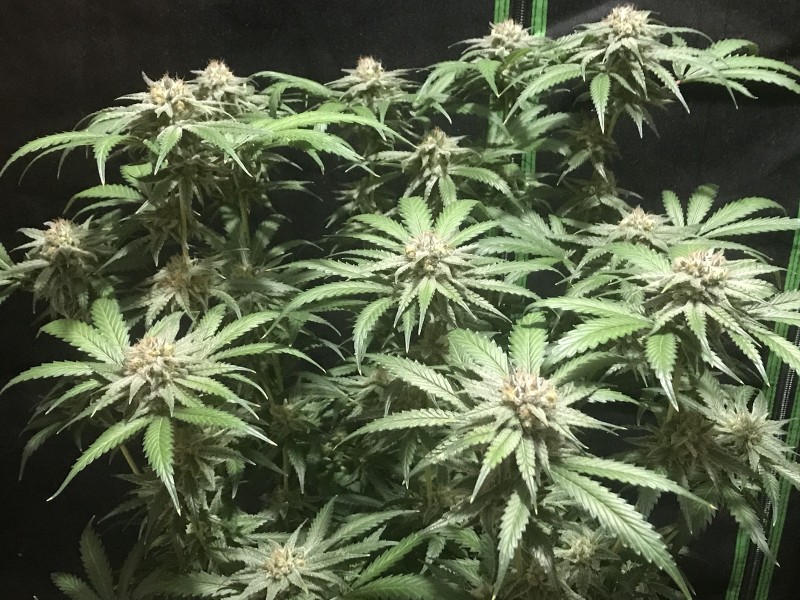 D05BD5C2-BA3D-408A-A8A1-828AFF5C7C49