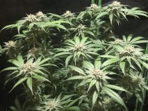 D05BD5C2-BA3D-408A-A8A1-828AFF5C7C49